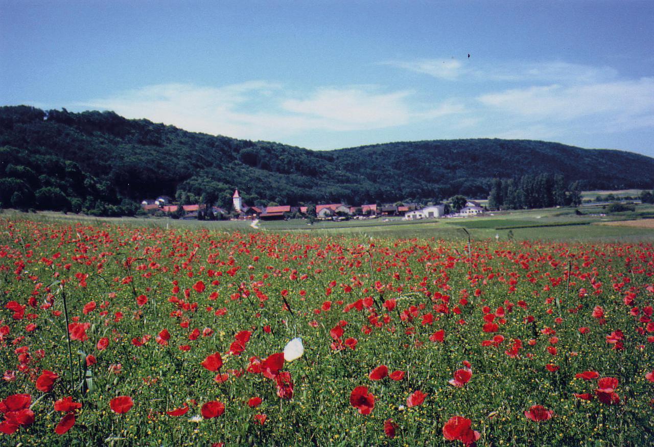 Landgasthof Wagner-Zimmermann Kinding Εξωτερικό φωτογραφία
